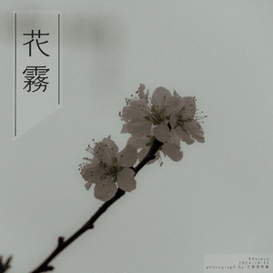 sm车内风油精视频
